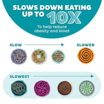 Outward Hound Fun Feeder Slo Bowl for Healthy Eating