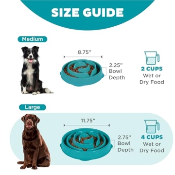Outward Hound Fun Feeder Slo Bowl for Healthy Eating