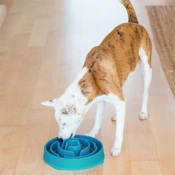 Outward Hound Fun Feeder Slo Bowl for Healthy Eating