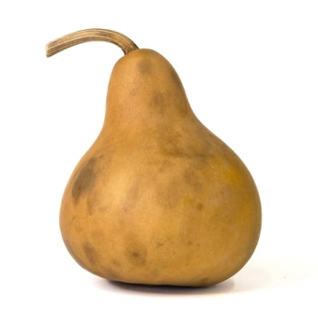 Box of 5 Dried Martin Gourds for Crafting and Decorating