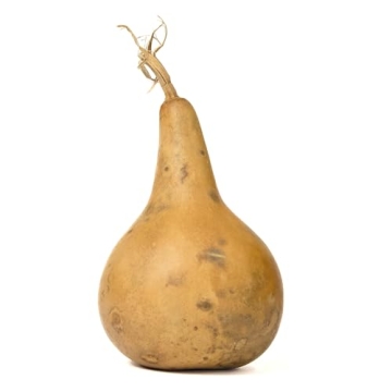 Box of 5 Dried Martin Gourds for Crafting and Decorating