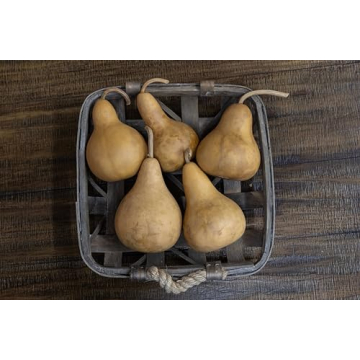 Box of 5 Dried Martin Gourds for Crafting and Decorating