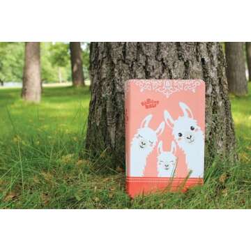 NIrV Adventure Bible for Early Readers - Coral Edition