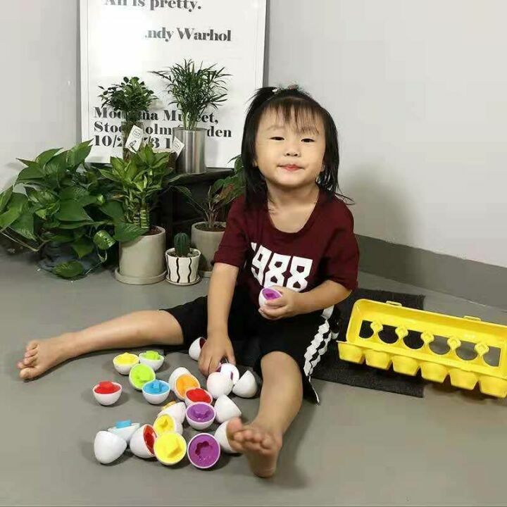 J-hong Matching Eggs 12 pcs Educational Toy