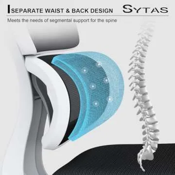 Sytas Ergonomic Home Office Chair, Desk Chair with Lumbar Support, Ergonomic Computer Chair High Back