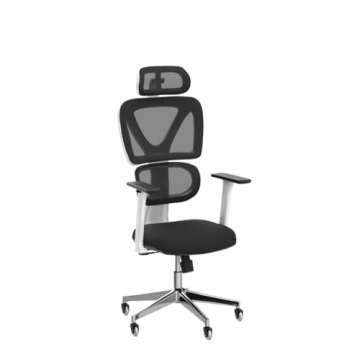 Sytas Ergonomic Home Office Chair, Desk Chair with Lumbar Support, Ergonomic Computer Chair High Back