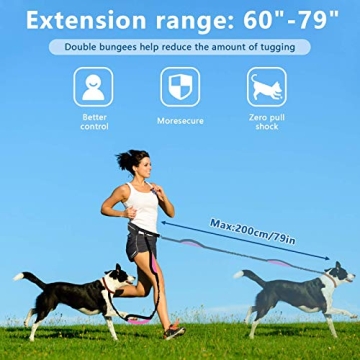 Hands Free Dog Leash for Active Pet Owners - Adjustable & Safe