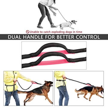 Hands Free Dog Leash for Active Pet Owners - Adjustable & Safe