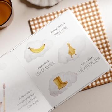 Wishy Washy Board Book for Babies - First Words & Colors