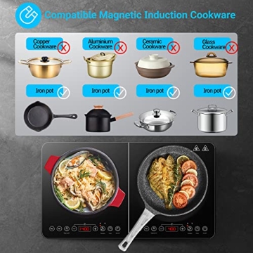 Aobosi Dual Burner Induction Cooktop Fast Heating Safe