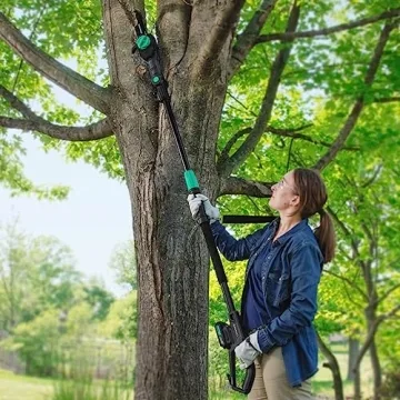 Denali 20V Brushed Pole Saw Kit - Lightweight & Powerful