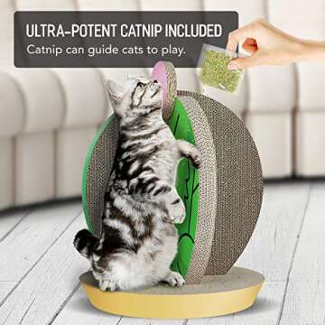 FluffyDream Cat Condo Scratcher Post Cardboard, Cactus Shape Cat Scratching House Bed Furniture Protector, Green Colour