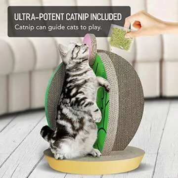 FluffyDream Cat Condo Scratcher Post Cardboard, Cactus Shape Cat Scratching House Bed Furniture Protector, Green Colour