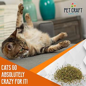 Pet Craft Supply Premium Maximum Potent All Natural Catnip for Cats USA Grown & Harvested Large 3 oz Resealable Canister or 8 oz Value Spray Bottle Great for Training Redirecting Bad Behaviors