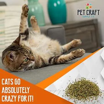 Pet Craft Supply Premium Maximum Potent All Natural Catnip for Cats USA Grown & Harvested Large 3 oz Resealable Canister or 8 oz Value Spray Bottle Great for Training Redirecting Bad Behaviors