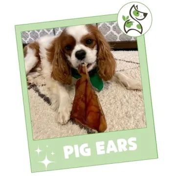 Nature Gnaws Pig Ears - Natural Dog Chews for Aggressive Chewers