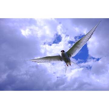 Fujifilm Fujinon XF18-135mmF3.5-5.6 R LM OIS WR