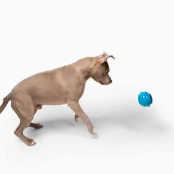 Jolly Dipper Interactive Treat Dispensing Toy for Dogs