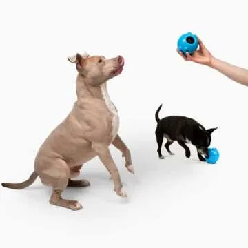 Jolly Dipper Interactive Treat Dispensing Toy for Dogs