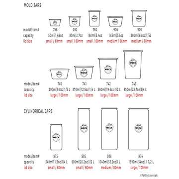 Weck Jar Keep Fresh Plastic Lids, 6 PACK (Large = 100mm). Fits Models 740, 741, 742, 743, 738, 739, 744, 745, 748, 974