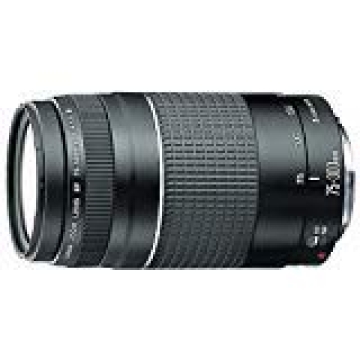 Canon EF 75-300mm Telephoto Zoom Lens for SLR