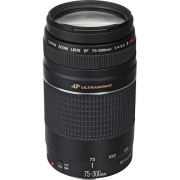 Canon EF 75-300mm Telephoto Zoom Lens for SLR
