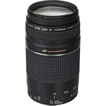 Canon EF 75-300mm Telephoto Zoom Lens for SLR