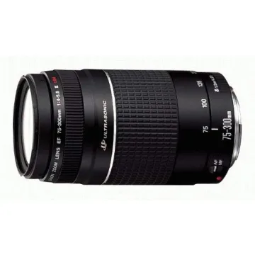 Canon EF 75-300mm Telephoto Zoom Lens for SLR
