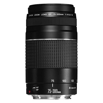 Canon EF 75-300mm Telephoto Zoom Lens for SLR