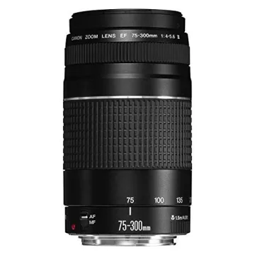 Canon EF 75-300mm Telephoto Zoom Lens for SLR