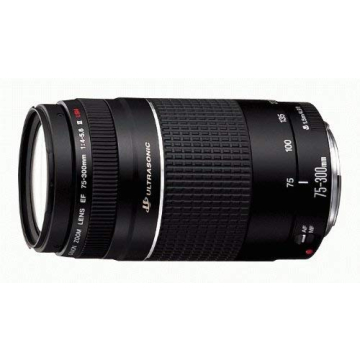 Canon EF 75-300mm Telephoto Zoom Lens for SLR