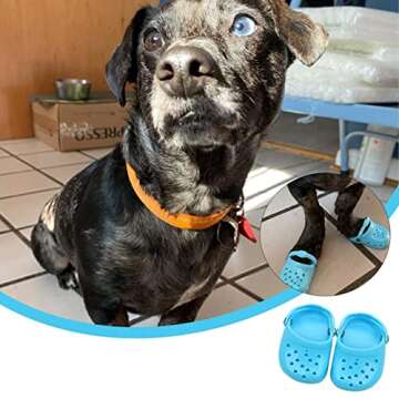 4Pack/2Pairs Pet Dog Croc with Rugged Anti-Slip Sole, Breathable Comfortable Love Mesh Dog Slippers, Puppy Candy Colors Sandals Adjustable, Color Optional, Dog Shoes Gift for Pet Festival