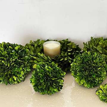 BoxwoodWorld 5" Preserved Topiary Ball for Home Decor