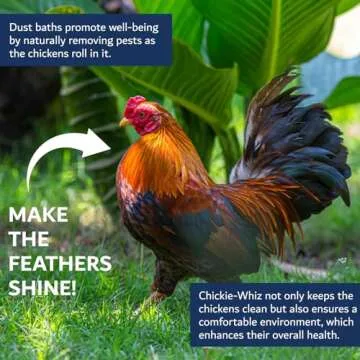 5.5 lb Chickie Whiz Dust Bath, Chicken Dust Bath, Dust Bath for Chickens for Healthier Chicken Eggs, Poultry Dust Chicken Bath for Chickens & Other Small Pet Animals, Billy Buckskin Co.