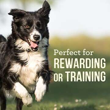 Merrick Power Bites Dog Treats for Large Dogs