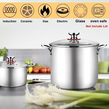 TeamFar 12 Quart Stock Pot for Healthy Cooking