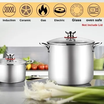 TeamFar 12 Quart Stock Pot for Healthy Cooking