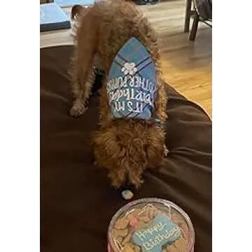 Dog Birthday Bandana, Birthday Boy Puppy Bandana for Small Medium Large Dogs Blue