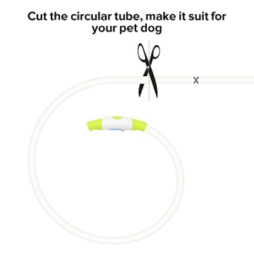 Rechargeable Neon Green LED Dog Collar Adjustable Durable