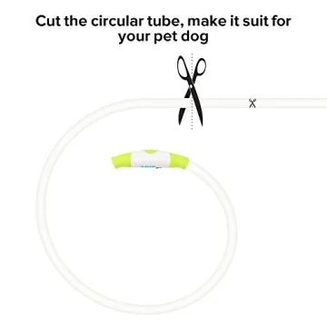 Rechargeable Neon Green LED Dog Collar Adjustable Durable