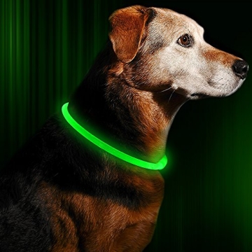 Rechargeable Neon Green LED Dog Collar Adjustable Durable