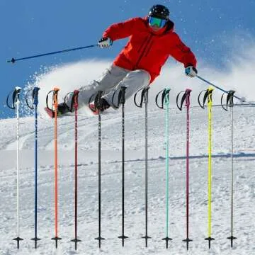 Zipline Blurr 16.0 Ski Poles - Graphite Carbon Composite