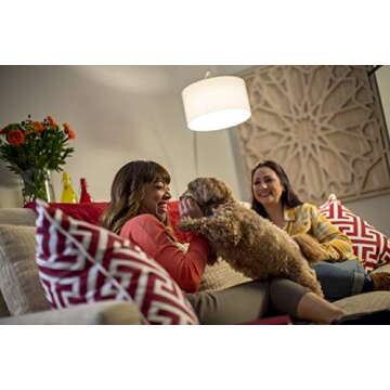 Cree Lighting TA19-08030MDFH25-12DE26-1-12 6-1-12 A19 60W Equivalent LED Bulb (Dimmable) 815 lumens Bright White 3000K, 1 Count (Pack of 2)