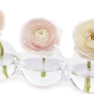 CHIVE ‘Caterpillar’ Bubble Bud Vase for Centerpieces — 4 Hole Multi Chamber Clear Glass Flower Vase for Short Flowers — Large, 13” Long