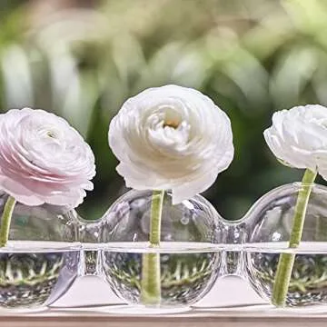 CHIVE ‘Caterpillar’ Bubble Bud Vase for Centerpieces — 4 Hole Multi Chamber Clear Glass Flower Vase for Short Flowers — Large, 13” Long