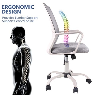 Ergonomic Office Chair with Lumbar Support and Wheels