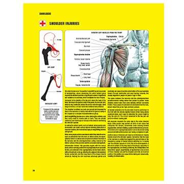 Strength Training Anatomy, 3rd Edition