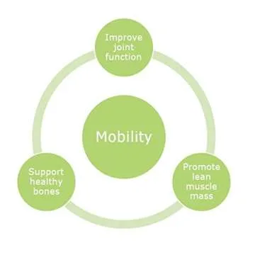 Protein Essentials, Beef Gelatin: Pasture-Raised, Grass Fed (16oz)