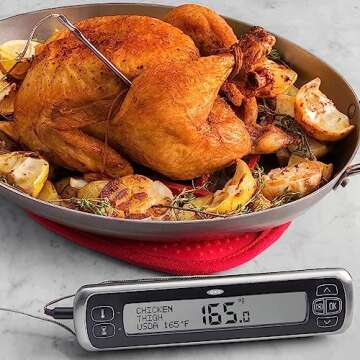 OXO Good Grips Digital Leave-In Thermometer, Perfect Precision