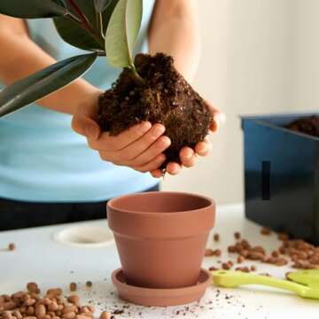 KOAMLY Mini Terracotta Pots Set - Perfect for Gardening Gifts